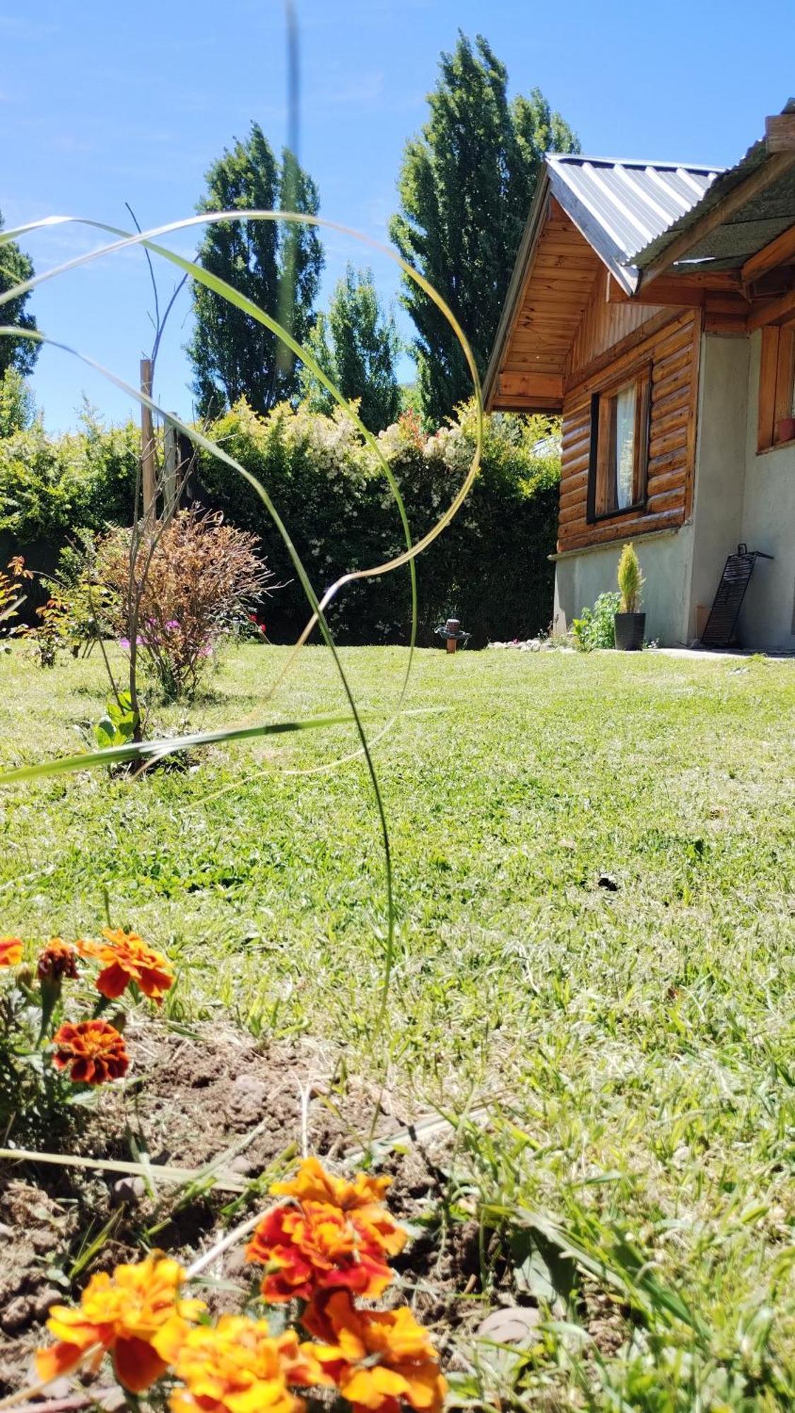 Cabana Los Teros San Martín de los Andes Buitenkant foto